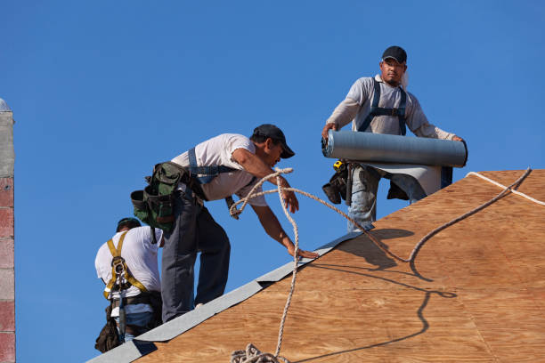 Best Roof Gutter Cleaning  in Lockport, NY