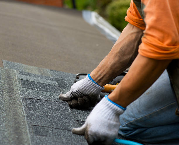 Best Storm Damage Roof Repair  in Lockport, NY