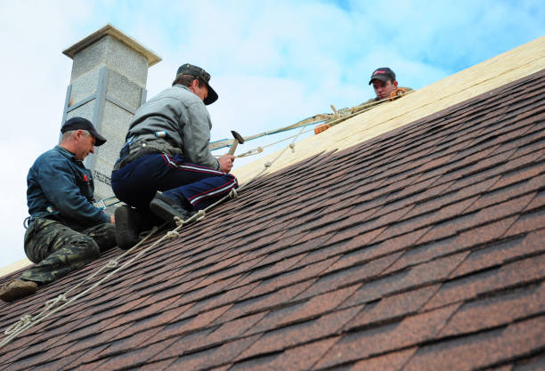 Best Shingle Roofing Installation  in Lockport, NY